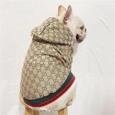 gucci pet baby|gucci clothes for dog.